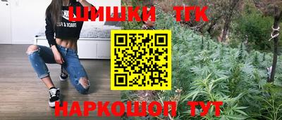 гидропоника Пугачёв