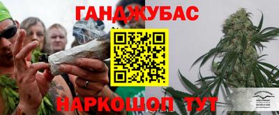 гидропоника Пугачёв